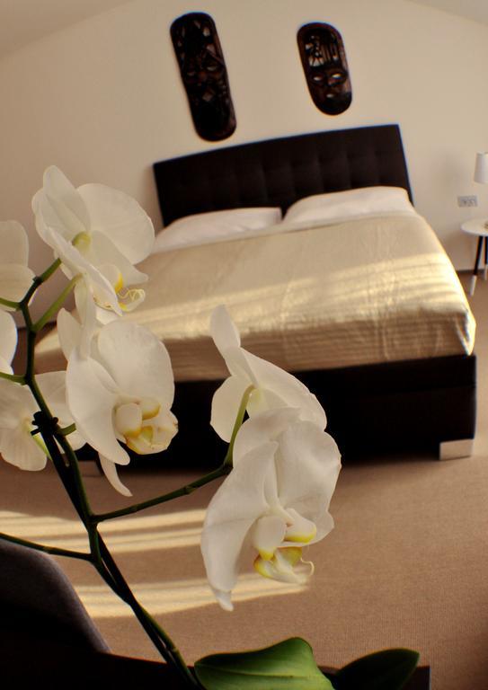 Studia Letcu 2A Apartment Оломоуц Екстериор снимка